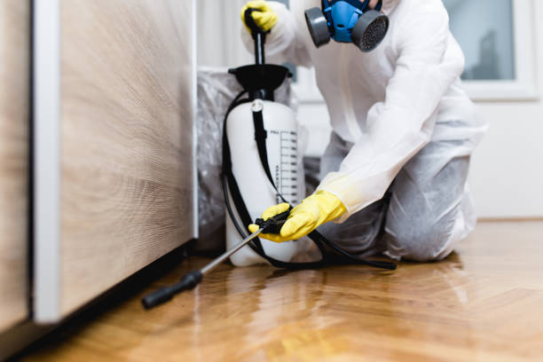 Best Pest Removal Services  in Rock Island, IL
