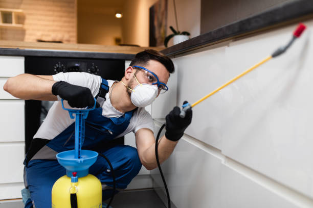 Pest Prevention Services in Rock Island, IL