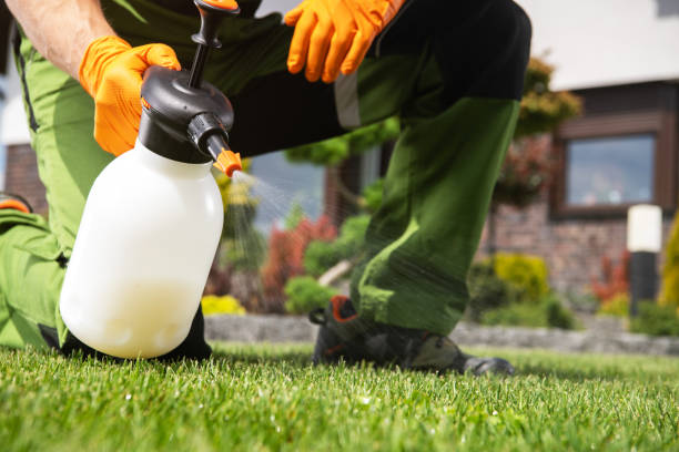 Best Residential Pest Control  in Rock Island, IL