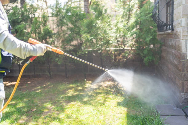 Reliable Rock Island, IL Pest Control Solutions